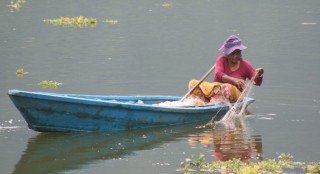 फेवातालमा जाल थापेर माछा मार्दै एक वृद्धा