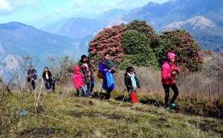 बागलुङमा पर्यटकीय लेक घुम्टे चढ्ने पदमार्ग निर्माण
