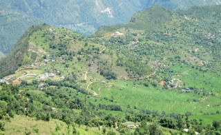 म्याग्दीको ज्यामरुककोट तमाने र खबरा क्षेत्रमा सलहले मकै तथा धानबाली नष्ट