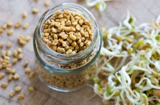 दिनको एक चम्चा मेथी दाना खानुस हुन्छन् यी १० फाइदा