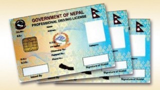 सवारी चालक अनुमति पत्र छपाइ सकियो