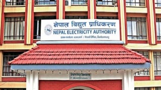 नेपाल विद्युत् प्राधिकरणको नाफा विस्तार