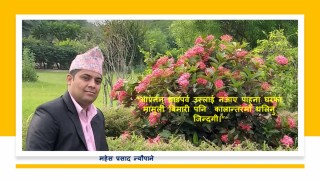 अलिनु जिन्दगी