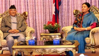 संविधान दिवसमा सरकारी सम्मान