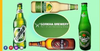 गोर्खा ब्रुअरीद्वारा उत्पादित काल्र्सबर्ग, टुबोर्ग, गोर्खा र सानमिगल बियर मापदण्डविपरीत,जनस्वास्थ्यमा गम्भीर असर