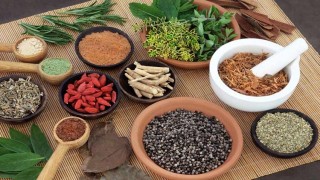 ढिला भयो नेपालमै बनेको कोरोनाविरुद्धको आयुर्वेदिक औषधिको परीक्षण