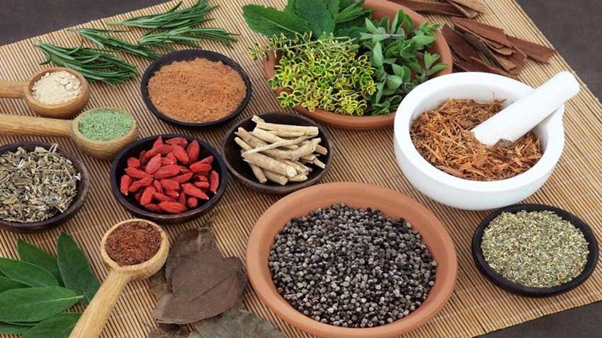 ढिला भयो नेपालमै बनेको कोरोनाविरुद्धको आयुर्वेदिक औषधिको परीक्षण