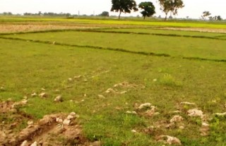 Flood victim families to get land plot