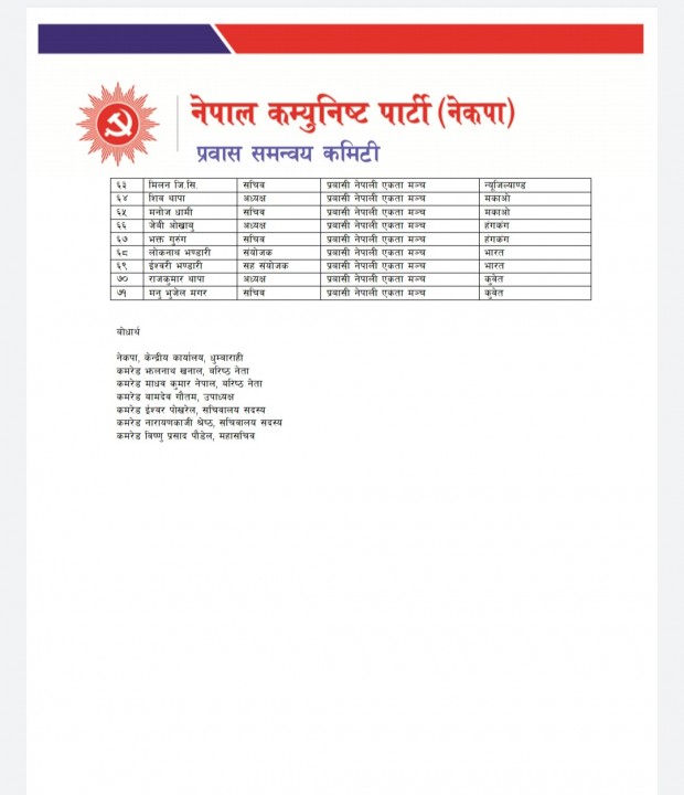 p3.jpg