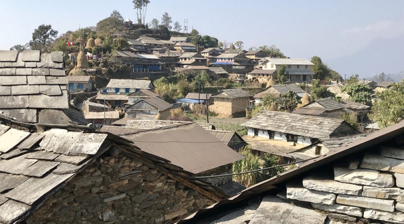 पोखरा मौजागाउँमा बाख्रापालनबाट वर्षमा सबै खर्च कटाएर रु ९० लाख कमाइ