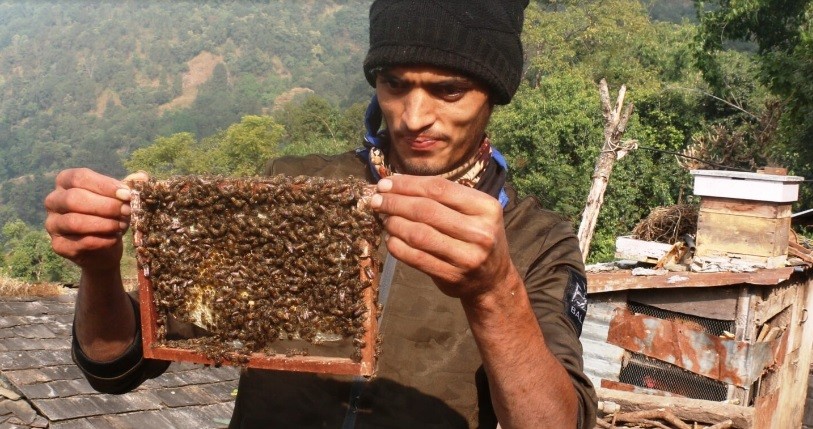 कास्की मादीस्थित तोगीका युवा महमा भविष्य खोज्दै