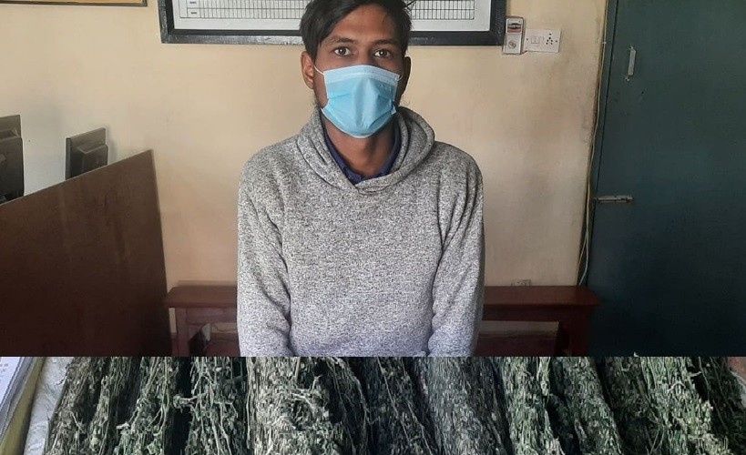स्याङ्जामा २ केजी गाजा सहित युवा पक्राउ