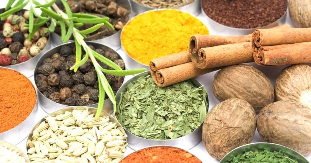 एक दिने निःशुल्क आयुर्वेद स्वास्थ्य शिविरबाट ५०० बढीले लिए सेवा