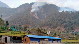 म्याग्दीका ४७ वटा सामुदायिक वनमा आगलागी , करिब १२ सय हेक्टर वन क्षेत्रमा क्षति