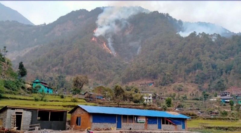 म्याग्दीका ४७ वटा सामुदायिक वनमा आगलागी , करिब १२ सय हेक्टर वन क्षेत्रमा क्षति