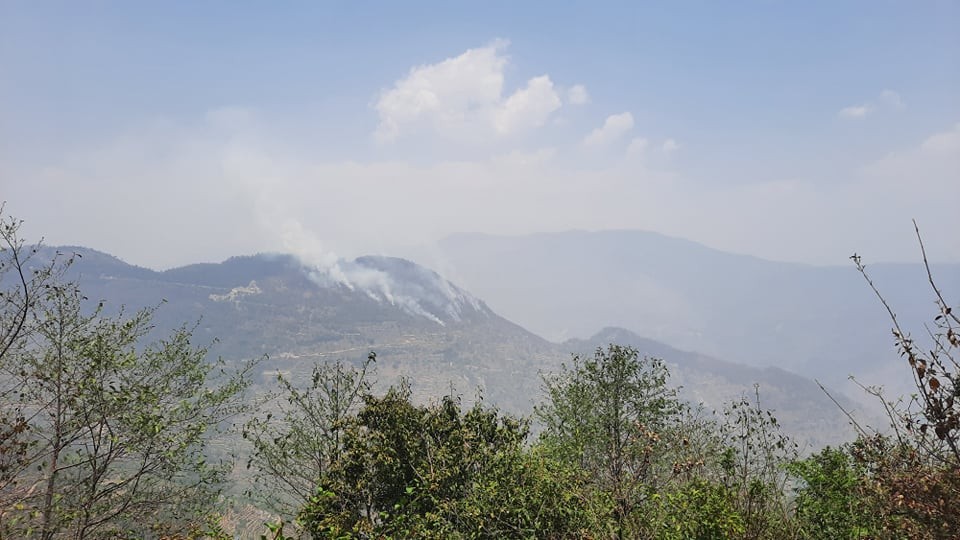 पर्वतमा करीब २०० हेक्टरभन्दा बढी क्षेत्रफलको वनमा आगलागी