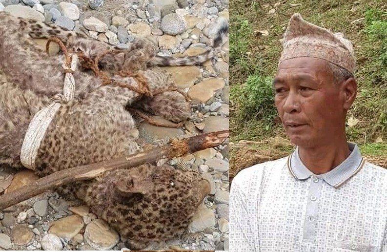 तनहुँ सिसा घाटका मदन कुमाल जसले भिडेरै चितुवा नियन्त्रणमा लिए !