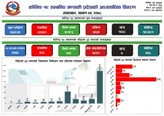 कास्कीमा १७९ जना सहित गण्डकीमा ४३८ जनामा कोरोना सङ्क्रमण:पोखरामा मात्रै सात जनाले ज्यान गुमाए