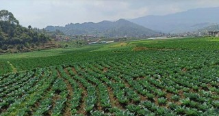 म्याग्दीमा तरकारी र फलफूल खेतीप्रति युवाको आकर्षण बढ्दै