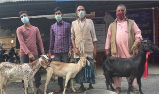 खसीको मासु भनेर बाख्रीको मासु बेच्ने ४ जना पक्राउ