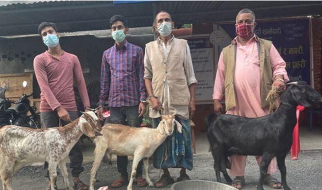 खसीको मासु भनेर बाख्रीको मासु बेच्ने ४ जना पक्राउ