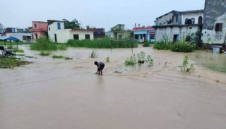 कैलालीमा बाढीले बगाएर एकको मृत्यु, सय बढी घर डुबानमा