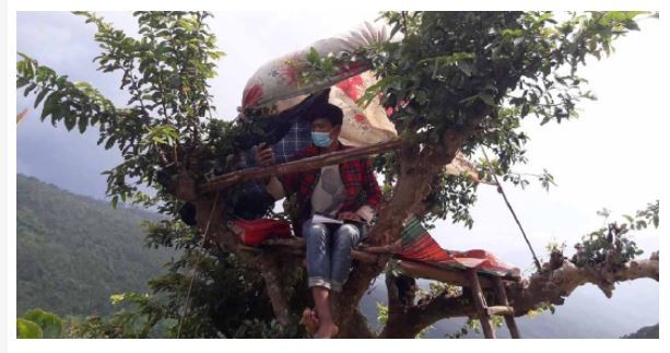 रुखमा डेरा बनाएर पढ्ने विद्यार्थीलाई उपमेयरको सहयोग