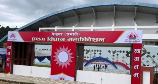 नेकपा एमालेका १३ समस्या