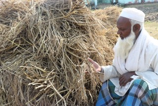 बेमौसमी वर्षाले धान नष्ट गर्‍यो: अब परिवार कसरी पाल्ने ?