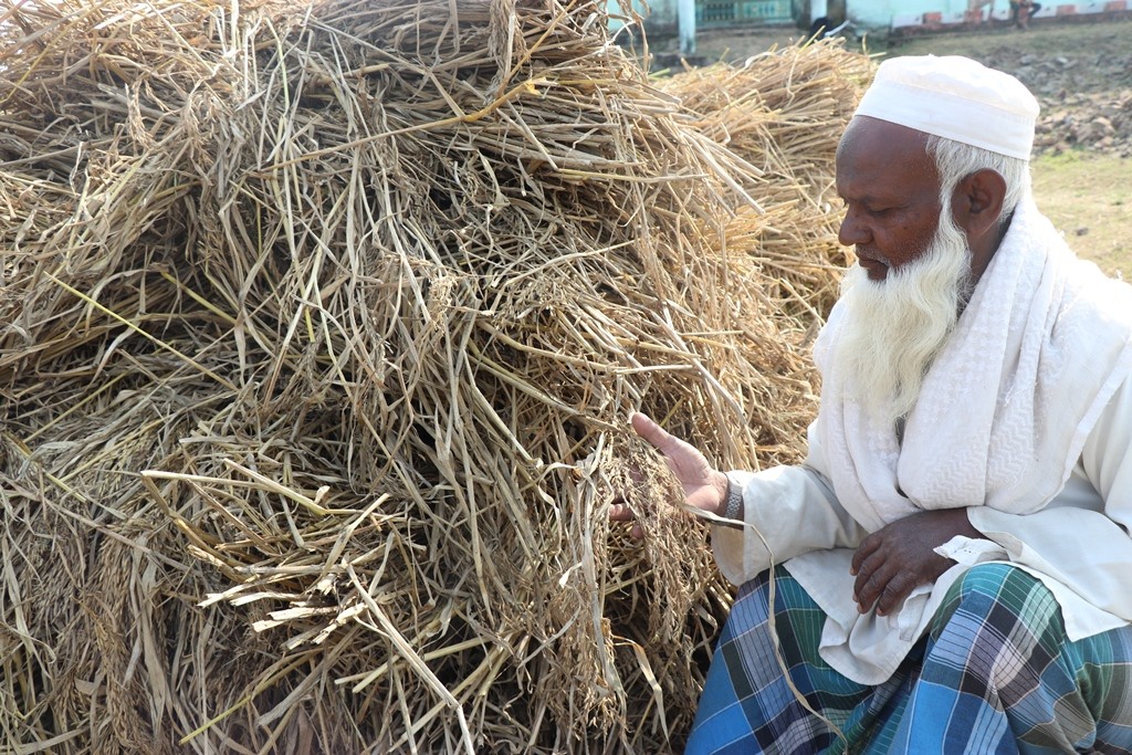 बेमौसमी वर्षाले धान नष्ट गर्‍यो: अब परिवार कसरी पाल्ने ?