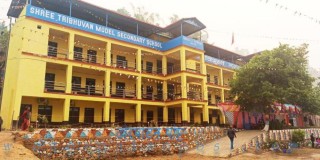 विद्यार्थीमा ठेउला देखिएपछि विद्यालय बन्द