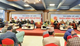 ओलीको पूर्वमाओवादी मोह एमालेमा खटपट, नेम्वाङ,सुरेन्द्र पाण्डेभन्दा रामबहादुर थापा वरीयतामा माथि