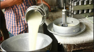 म्याग्दीका दुग्ध कृषक अनुदानबाट वञ्चित