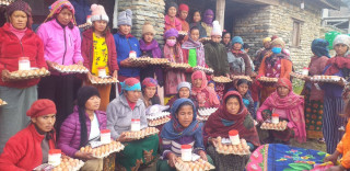 धवलागिरीका गर्भवति र सुत्केरीलाई घ्यू र अण्डा