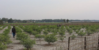 हराभरा मेघौली