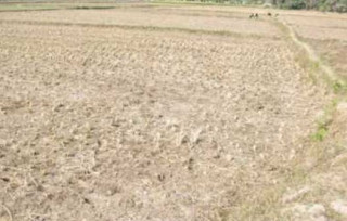 गण्डकीमा ‘प्रदेश सरकारको साझेदारी, बाँझो रहन्न खेतबारी’