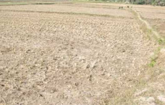 गण्डकीमा ‘प्रदेश सरकारको साझेदारी, बाँझो रहन्न खेतबारी’