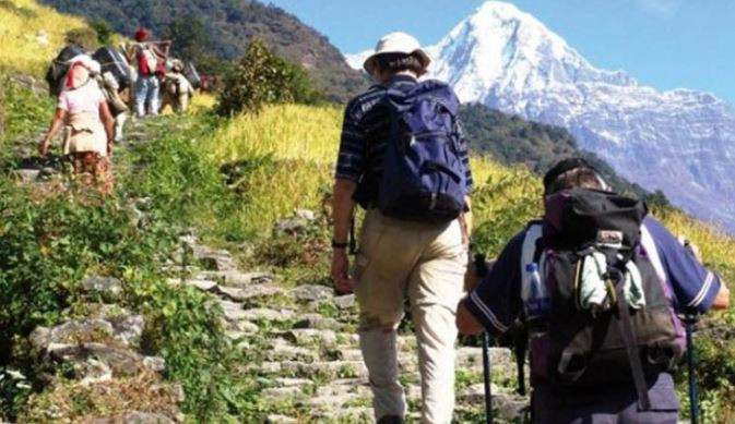 'टिम्स कार्ड’ लिने पर्यटक घटे