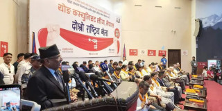 निर्वाचनमा केन्द्रित हुन प्रचण्डको निर्देशन