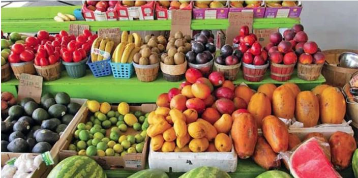 तौल घटाउन गर्मीमा खानुहोस्  यी ७ फलफूल