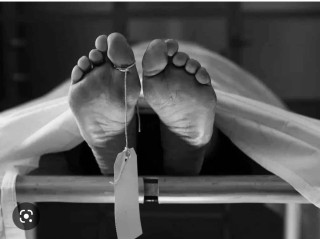 भालुको आक्रमणबाट अर्घाखाँचीमा एकजनाको मृत्यु