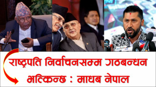 राष्ट्रिय स्वतन्त्र पार्टी मुलुकका लागि घाँडो भयो : माधब नेपाल