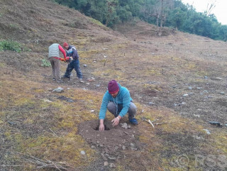 बागलुङ तमानखोलाको बाँझो जमिनमा फलफूल खेती