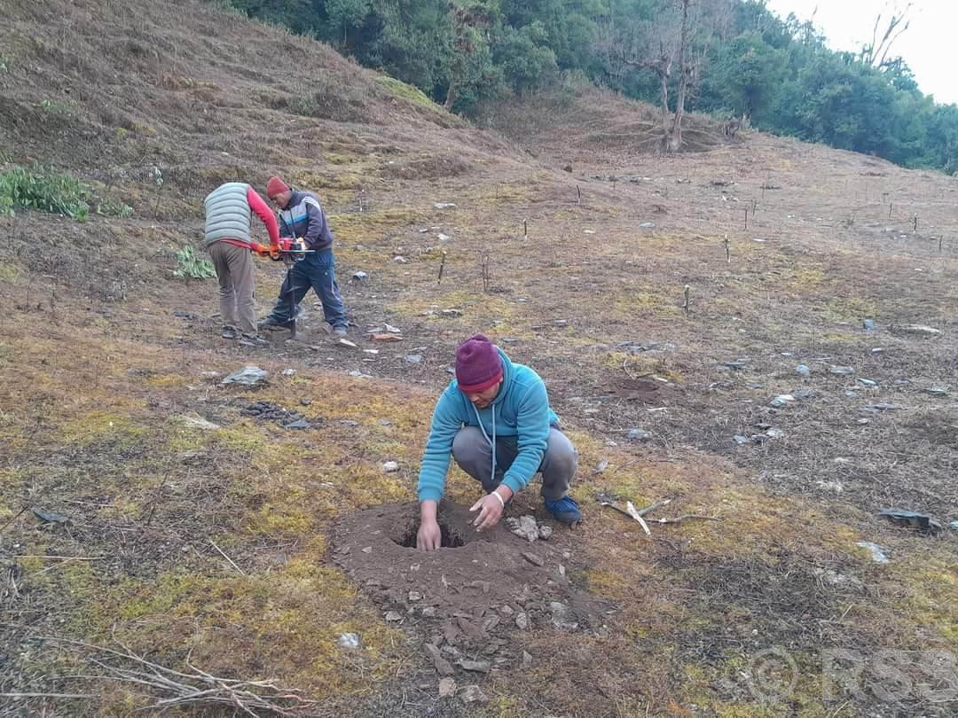 बागलुङ तमानखोलाको बाँझो जमिनमा फलफूल खेती