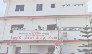 भुक्तानी नपाएको भन्दै रोल्पाका कृषक आन्दोलित