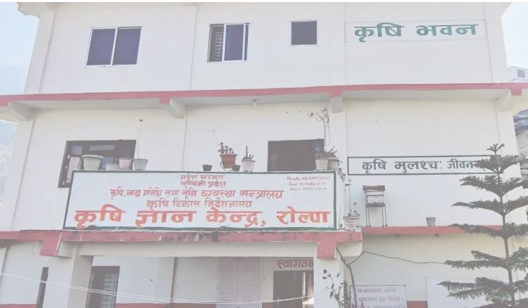 भुक्तानी नपाएको भन्दै रोल्पाका कृषक आन्दोलित