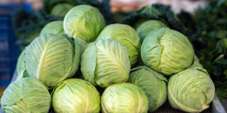 Cabbage worth Rs 17o million exported via Kakadbhitta border