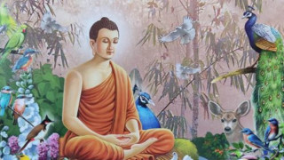 एसियाका तारा गौतम बुद्ध