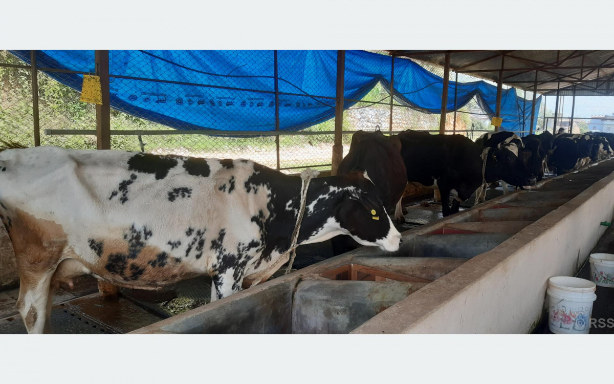 अनुदान उत्पादनमा प्रेरक