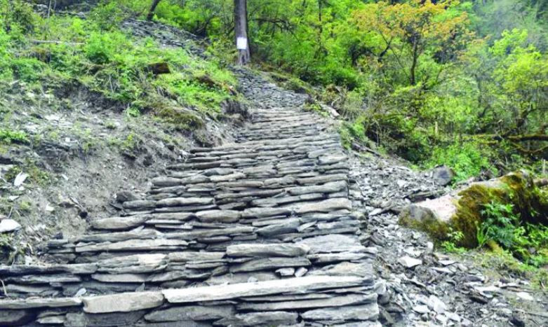 फलाम खानी सञ्चालनको तयारीका लागि खानीसम्म पुग्ने पदमार्ग निर्माण